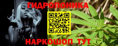 крисы Гусь-Хрустальный