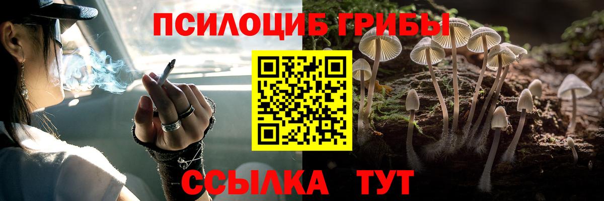 Мытищи  Галлюциногенные грибы MAGIC MUSHROOMS  даркнет сайт  Вход с VPN 